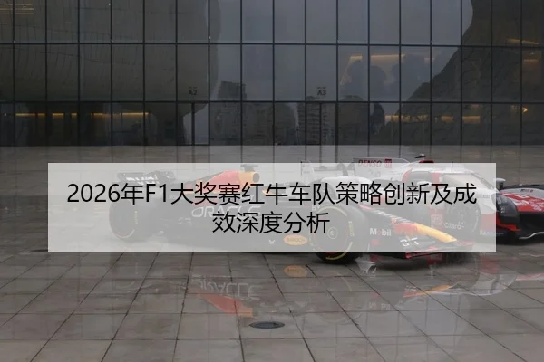 nian-da-jiang-sai-hong-niu-che-dui-ce-lve-chuang-xin-ji-cheng-xiao-shen-du-fen-xi-2-319.jpg