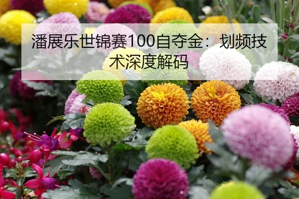 潘展乐世锦赛100自夺金：划频技术深度解码